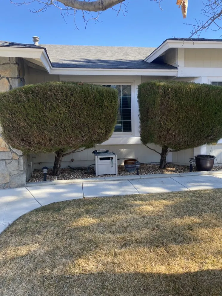 Reliable garden landscaping for outdoor upgrades across Reno, NV - Recon Powerscaping