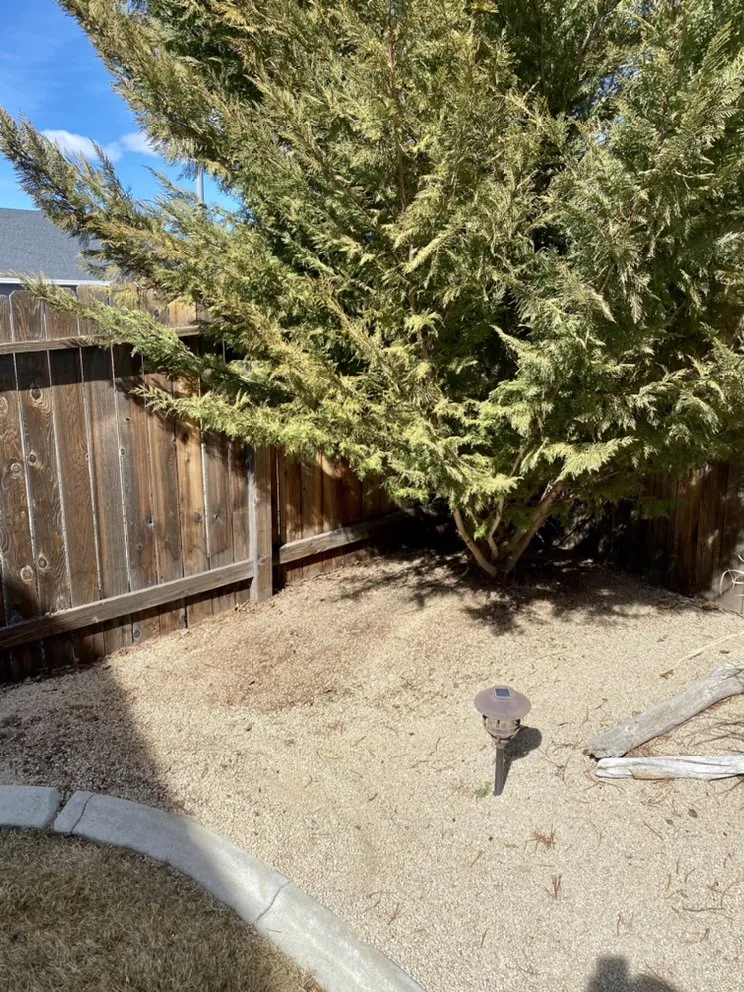 Trusted lawn care service in Reno, NV - Recon Powerscaping