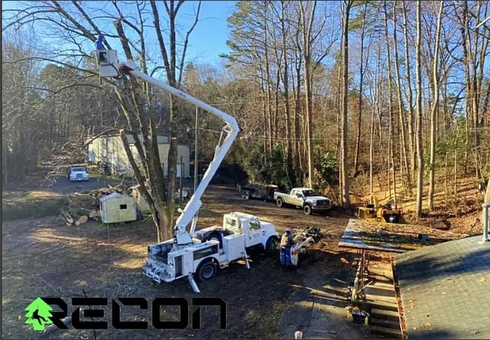 Reliable residential landscaping experts serving Concord, NC - Recon Tree Care