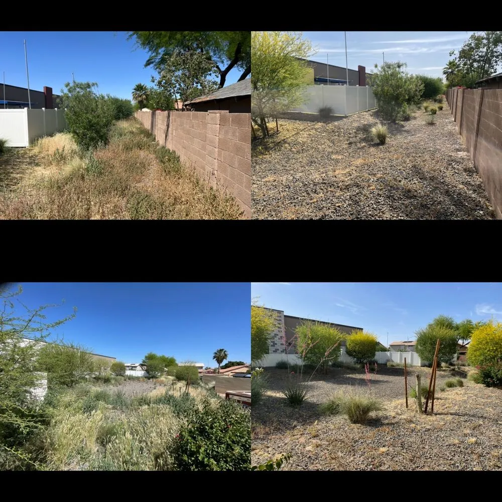 Professional garden landscaping for homes across Mesa, AZ - Recovered Landscaping