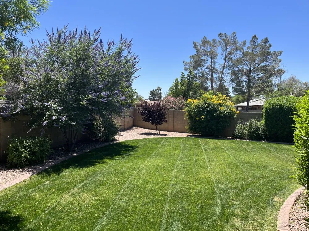 Reliable yard maintenance in Mesa, AZ - Recovered Landscaping