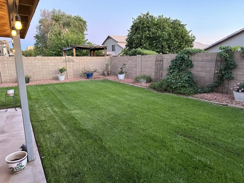 Top-rated yard maintenance experts serving Mesa, AZ - Recovered Landscaping