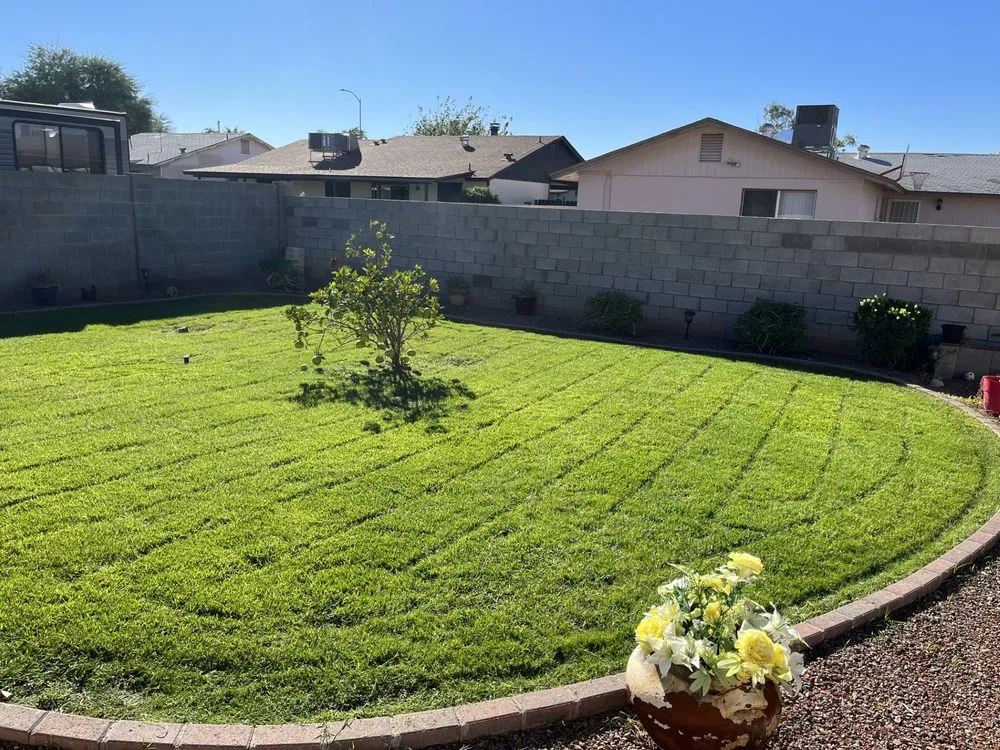 Expert lawn care service experts serving Mesa, AZ - Recovered Landscaping