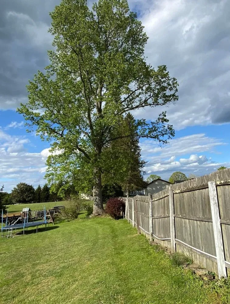 Reliable lawn care service with custom design in Milton, WV by Recovery Tree And Landscaping