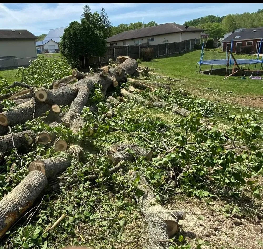 Affordable landscape design in Milton, WV by Recovery Tree And Landscaping