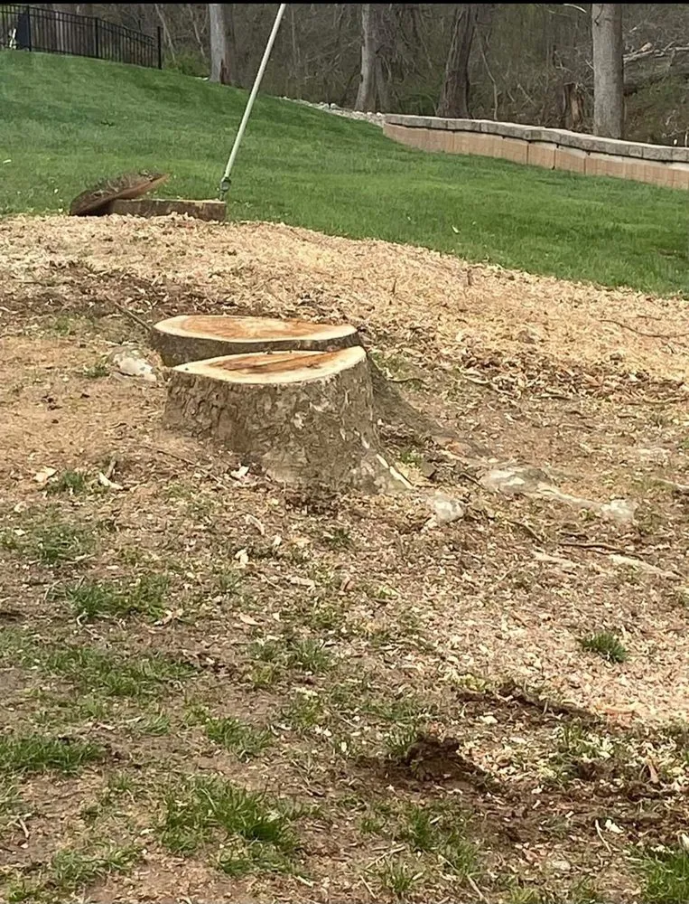 Reliable landscaping services experts serving Milton, WV - Recovery Tree And Landscaping