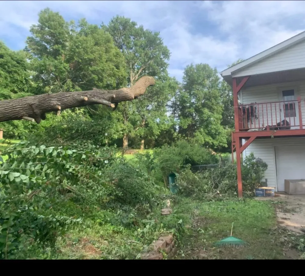 Top-rated lawn mowing service near you across Milton, WV - Recovery Tree And Landscaping