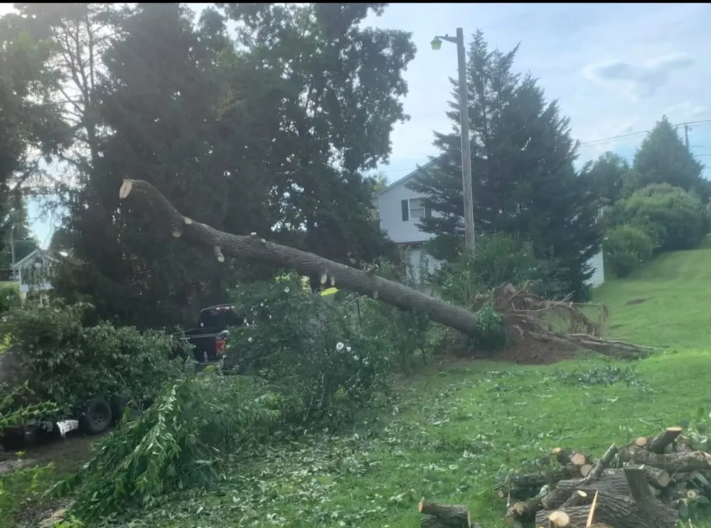 Trusted lawn mowing service in Milton, WV by Recovery Tree And Landscaping