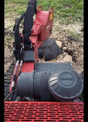 Recovery Tree And Landscaping