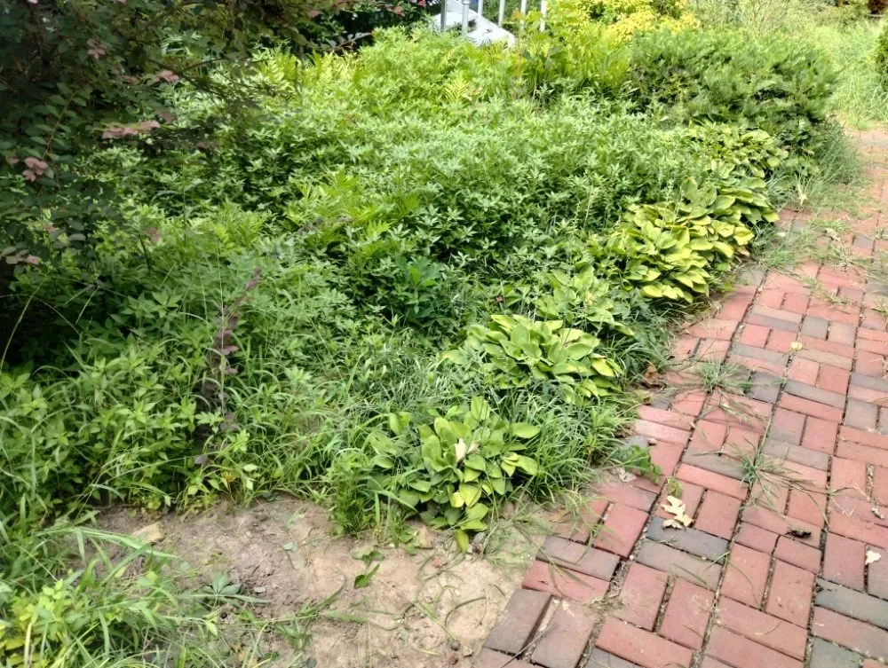 Professional landscape design in Little Rock, AR - Recovery Washing and Lawncare