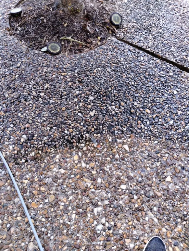 Trusted outdoor landscaping for year-round maintenance across Little Rock, AR - Recovery Washing and Lawncare