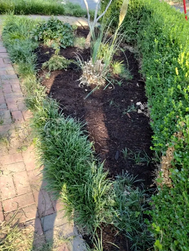 Trusted landscaping services in Little Rock, AR by Recovery Washing and Lawncare