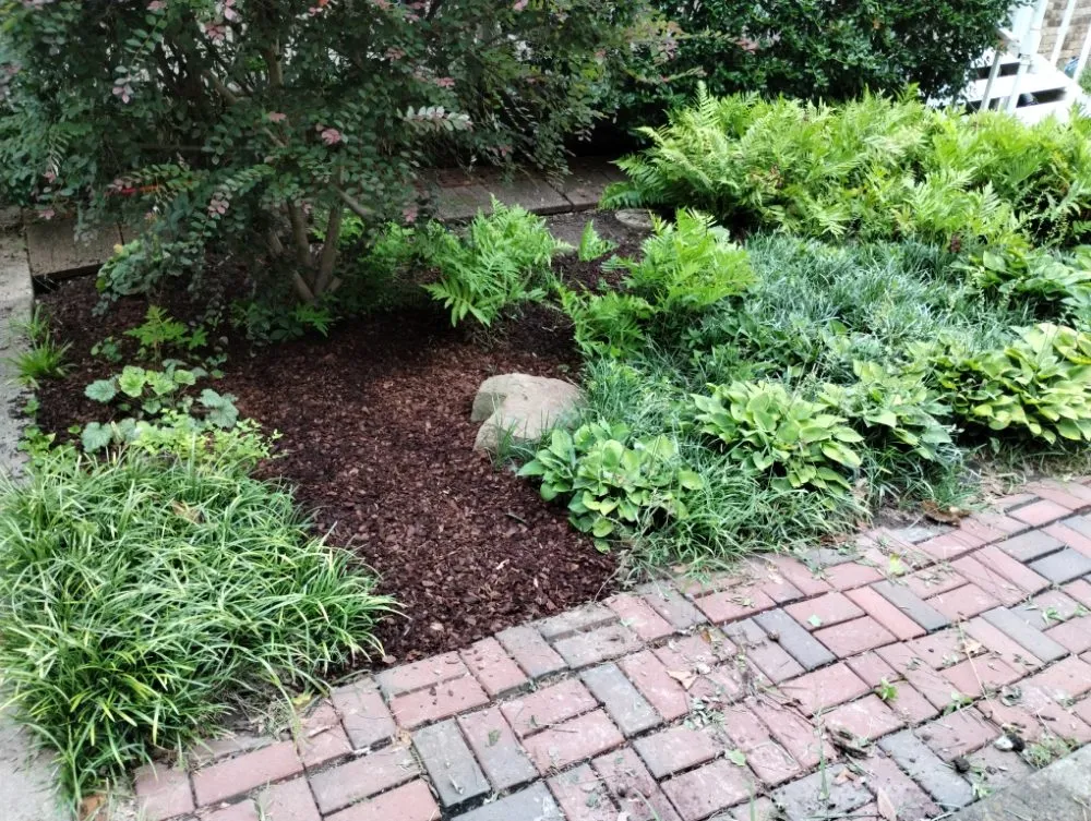 Local landscape installation for homes across Little Rock, AR - Recovery Washing and Lawncare