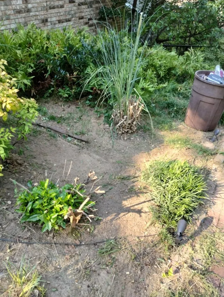 Professional landscape installation experts serving Little Rock, AR - Recovery Washing and Lawncare