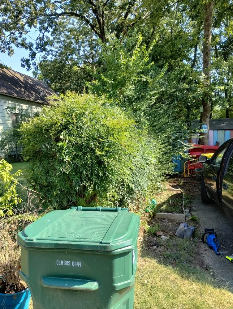 Trusted yard maintenance experts serving Little Rock, AR - Recovery Washing and Lawncare