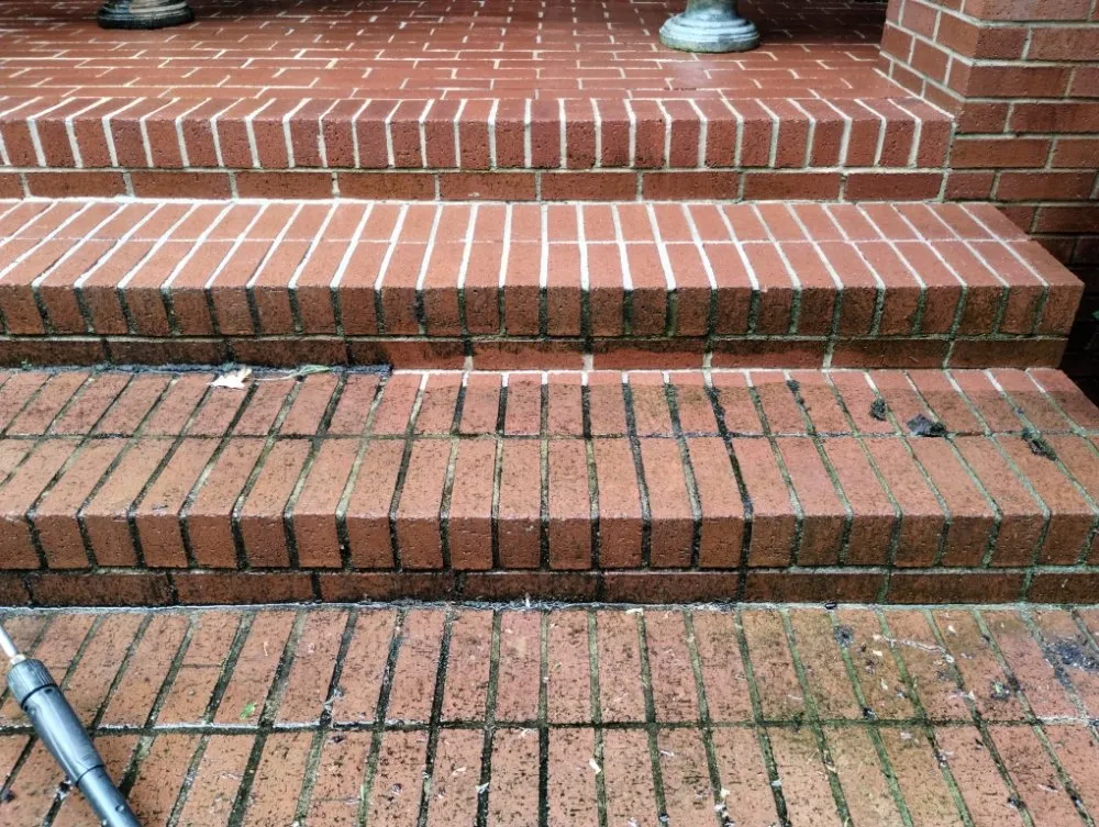 Top-rated yard cleanup service in Little Rock, AR - Recovery Washing and Lawncare