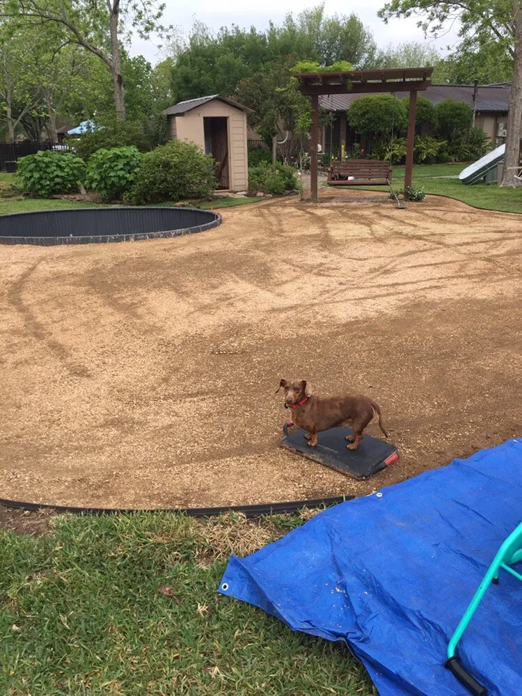 Top-rated lawn mowing service for year-round maintenance in The Woodlands, TX by Recreation Pro