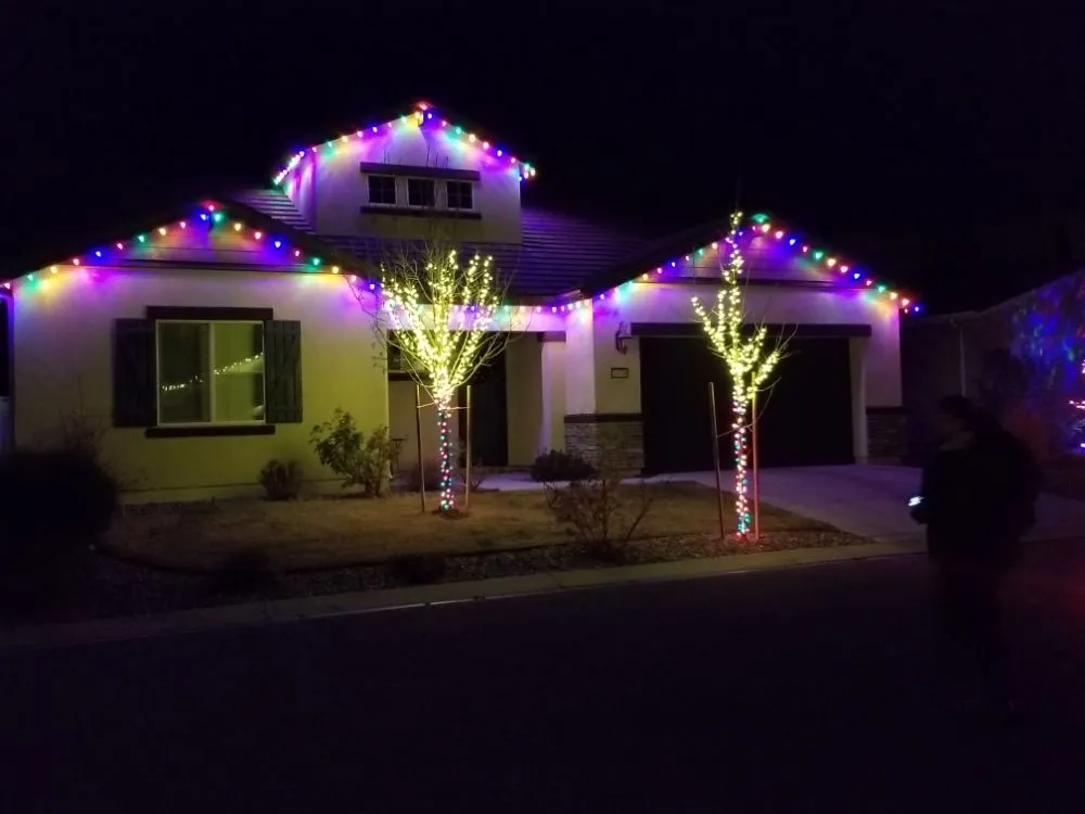 Reliable yard cleanup service in Reno, NV by Rectify Home Solutions