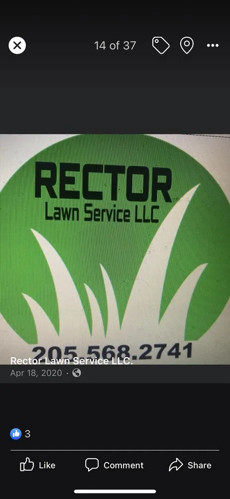Custom lawn care service in Birmingham, AL by Rector Lawn Service