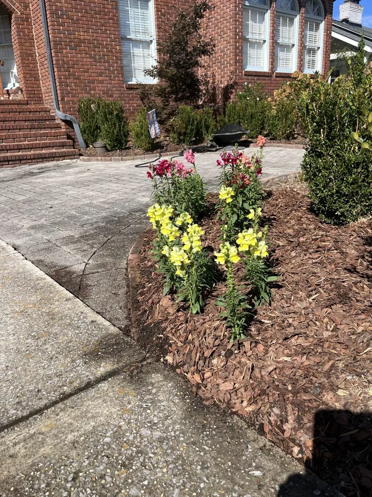 Professional yard cleanup service for beautiful yards across Birmingham, AL - Rector Lawn Service