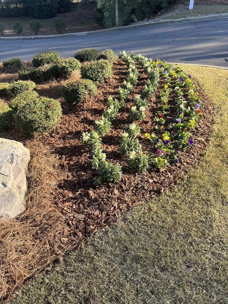 Trusted lawn mowing service in Birmingham, AL - Rector Lawn Service