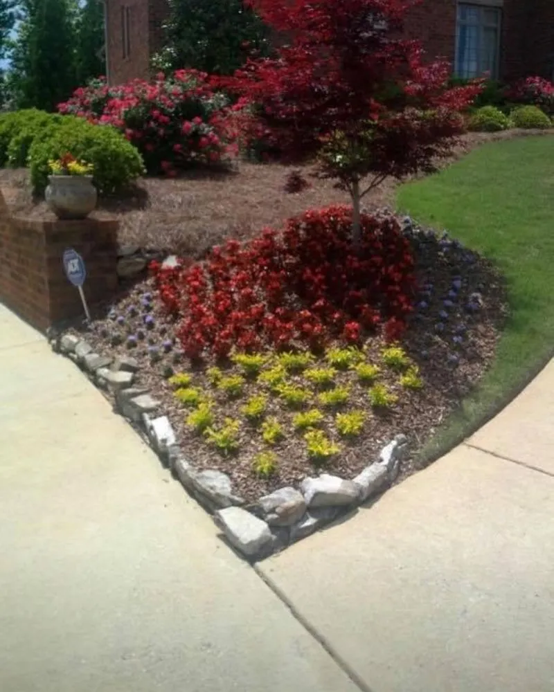 Professional yard cleanup service in Birmingham, AL by Rector Lawn Service