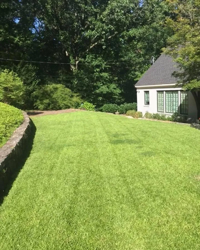 Trusted landscape installation experts serving Birmingham, AL - Rector Lawn Service