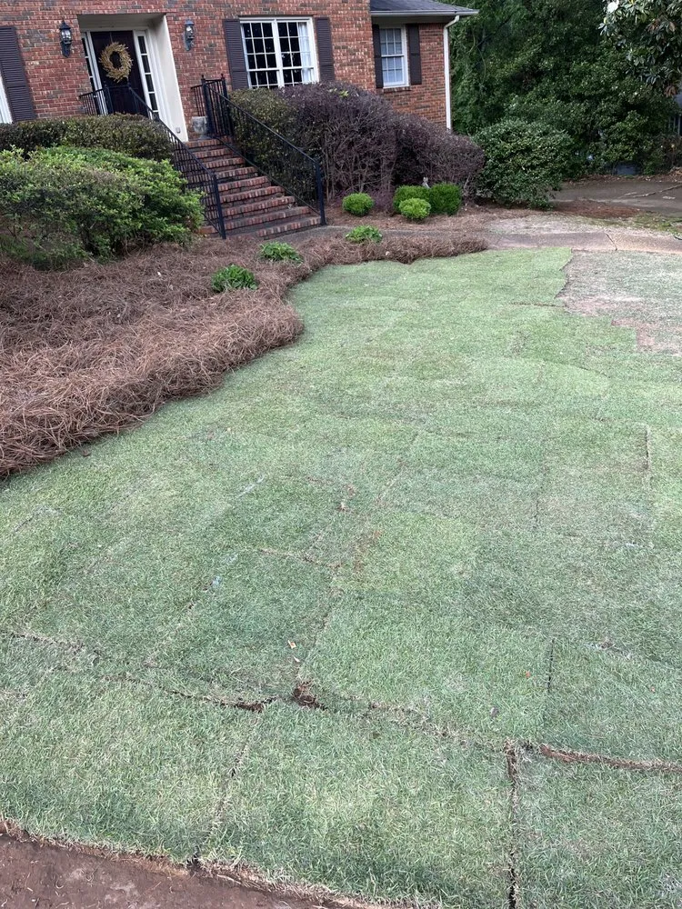 Expert landscape design experts serving Birmingham, AL - Rector Lawn Service