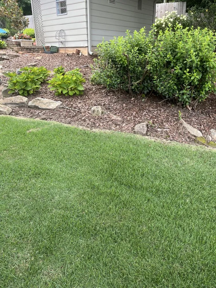 Professional lawn care service in Birmingham, AL by Rector Lawn Service