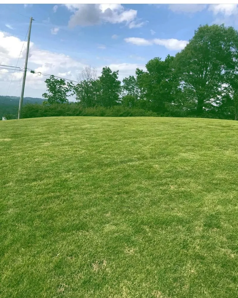 Local residential landscaping for year-round maintenance in Birmingham, AL by Rector Lawn Service