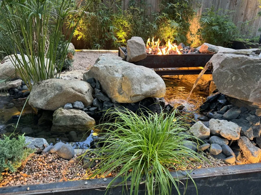 Reliable yard cleanup service in Austin, TX - Red Agave Lawn + Landscape