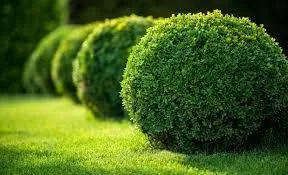 Trusted residential landscaping for outdoor upgrades across York, PA - Red Barn Lawn and Property