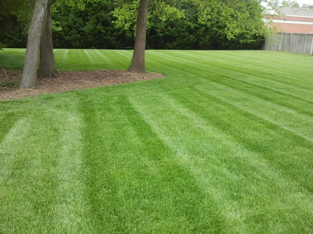 Trusted yard maintenance for beautiful yards in York, PA by Red Barn Lawn and Property