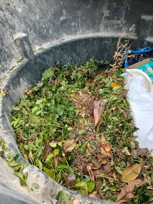 RED BARN LAWN SERVICES Logo