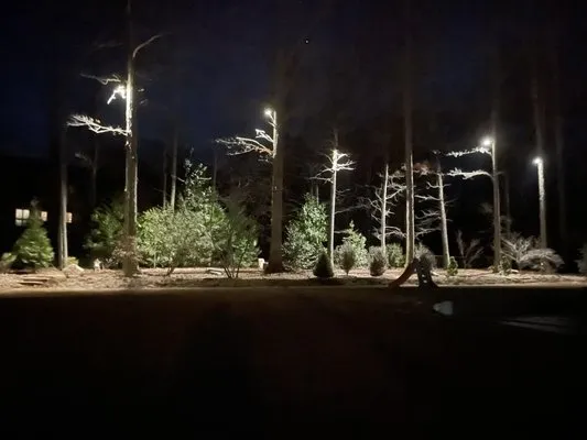 Red Bear Irrigation & Outdoor Lighting