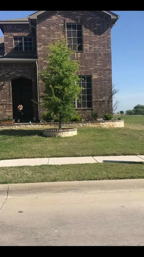 Top-rated yard maintenance experts serving Justin, TX - Red Beard Landscaping