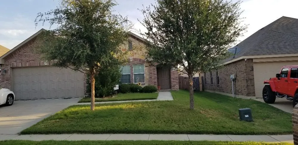 Expert yard maintenance for year-round maintenance in Justin, TX by Red Beard Landscaping