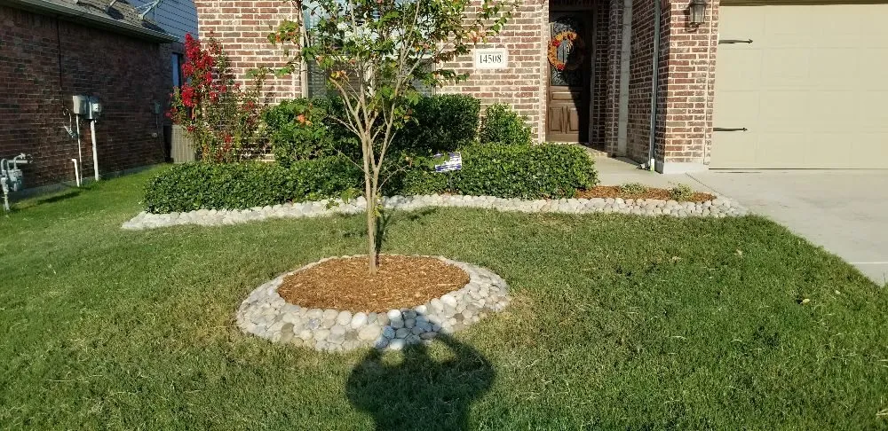 Local yard cleanup service in Justin, TX by Red Beard Landscaping