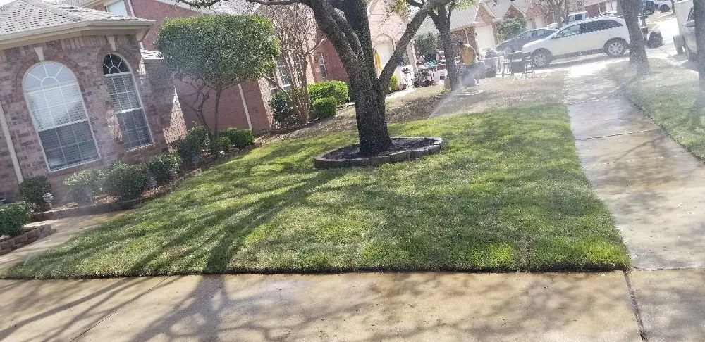 Local outdoor landscaping in Justin, TX by Red Beard Landscaping