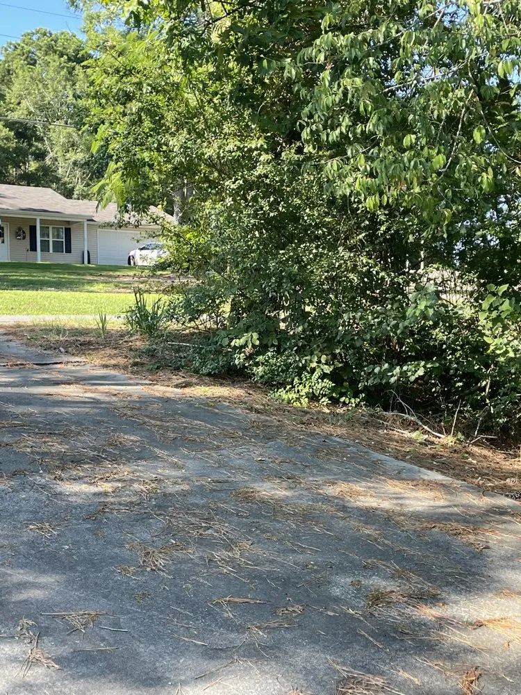 Affordable landscape installation for outdoor upgrades in Adairsville, GA by Red Beard Lawn Care