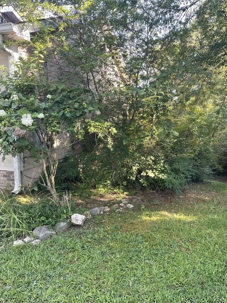 Expert outdoor landscaping for beautiful yards across Adairsville, GA - Red Beard Lawn Care