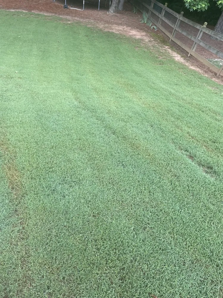 Local lawn care service for homes in Adairsville, GA by Red Beard Lawn Care