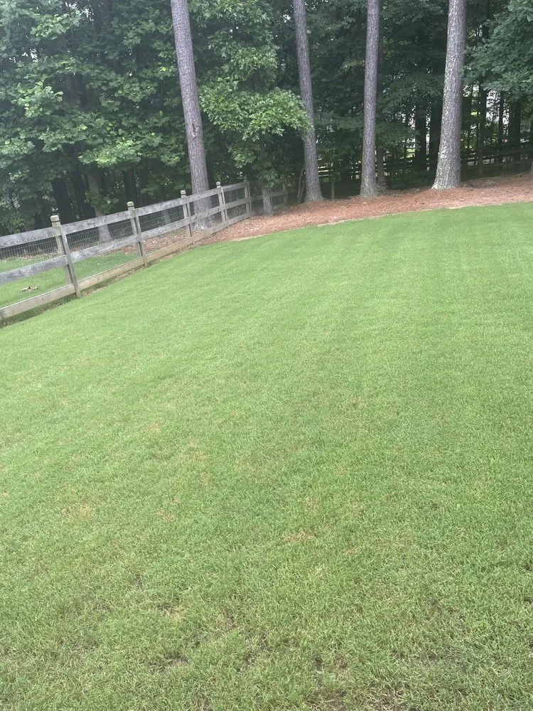 Reliable landscape design for year-round maintenance across Adairsville, GA - Red Beard Lawn Care