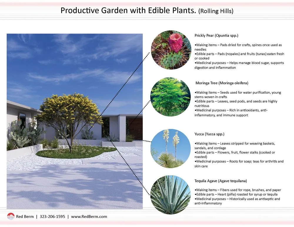 Expert yard maintenance experts serving Pasadena, CA - Red Berm