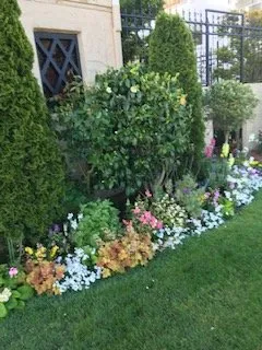 Custom outdoor landscaping for outdoor upgrades in Novato, CA by Red Bird Landscaping