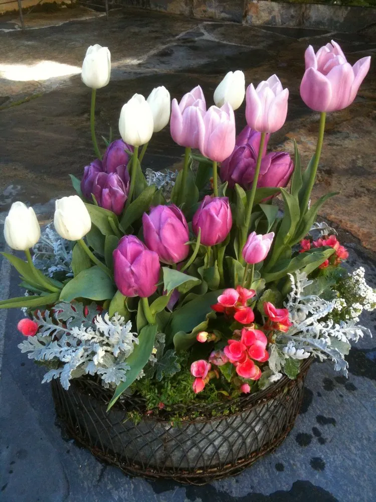 Affordable landscape installation for year-round maintenance across Novato, CA - Red Bird Landscaping