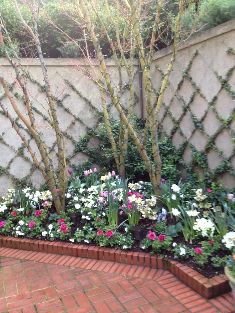 Trusted yard cleanup service for beautiful yards across Novato, CA - Red Bird Landscaping