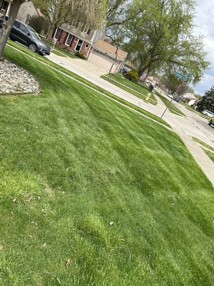 Reliable landscape installation in Alexandria, VA - Red Bird Lawn Services