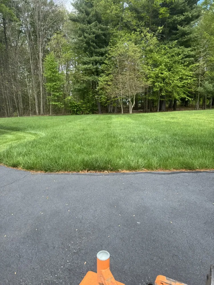 Local lawn care service experts serving Hartford, CT - Red Bison General Contractor