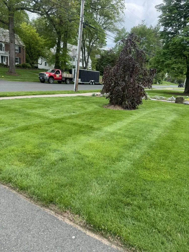 Professional outdoor landscaping for outdoor upgrades across Hartford, CT - Red Bison General Contractor